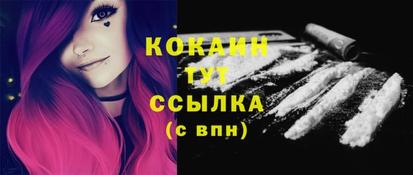 mdpv Няндома