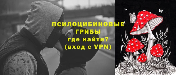 спайс Нягань