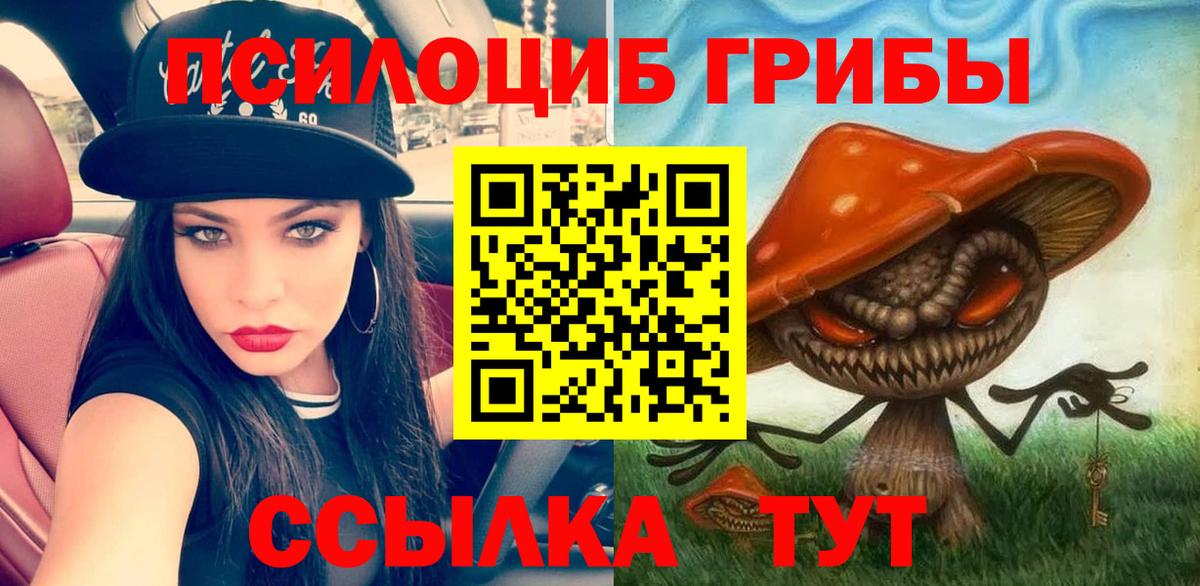 Галлюциногенные грибы Magic Shrooms  Вход с VPN  Галлюциногенные грибы Psilocybe  Черногорск 